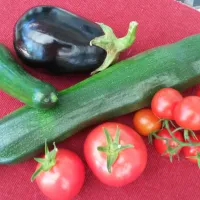 Erntedank Gemüse (Andrea Ziegler)