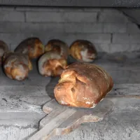 Brot im Ofen (Foto: Sonja Graber)